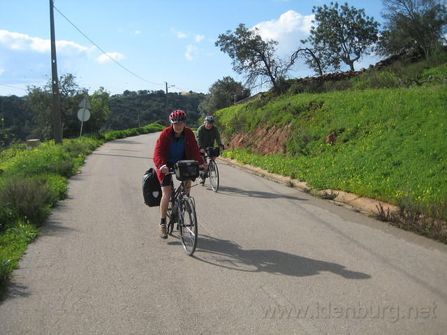 IMG 1264