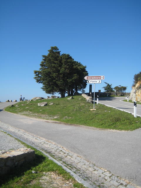 IMG 1278
