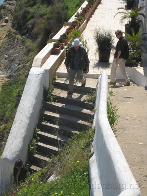 IMG 1296