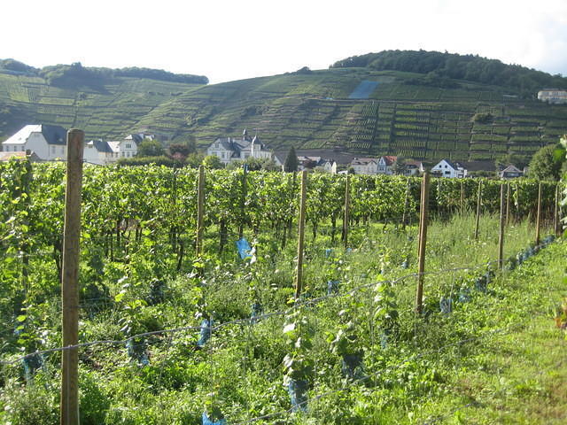 2010-09-01 Fietsen Duitsland 0064