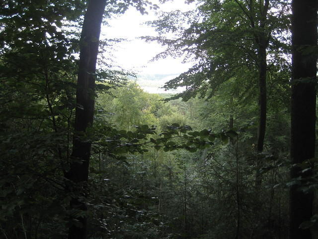 2010-09-01 Fietsen Duitsland 0106