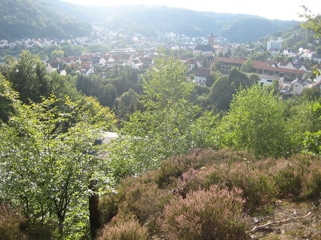 2010-09-01 Fietsen Duitsland 0110