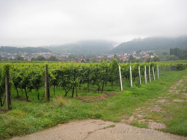 2010-09-01 Fietsen Duitsland 0123