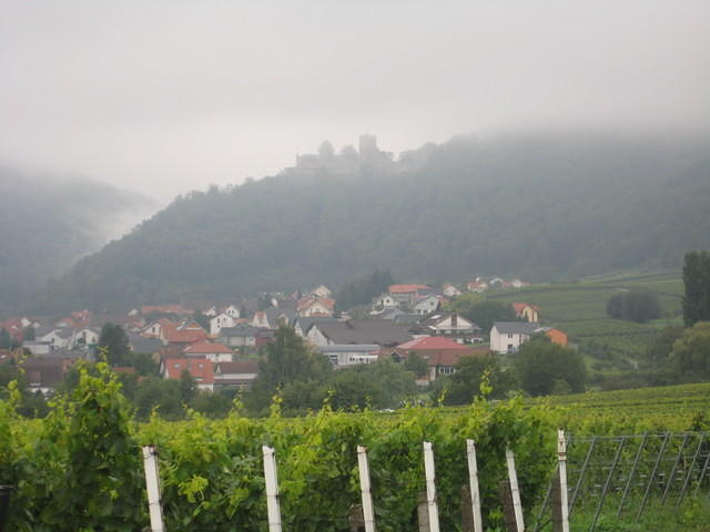 2010-09-01 Fietsen Duitsland 0124
