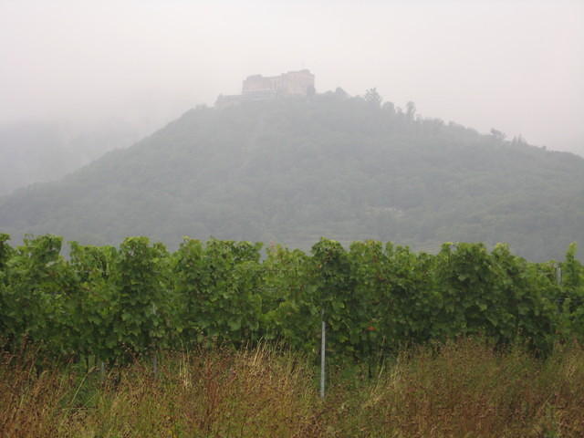 2010-09-01 Fietsen Duitsland 0125