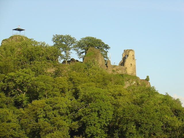 DSC04293