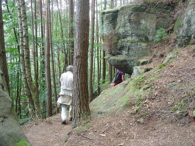 DSC04311