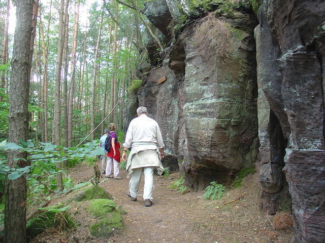 DSC04313