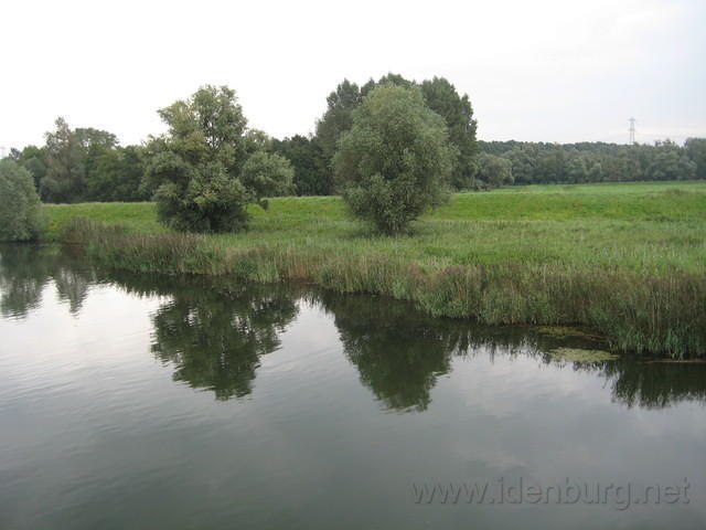 2011 Katjeskelder 009