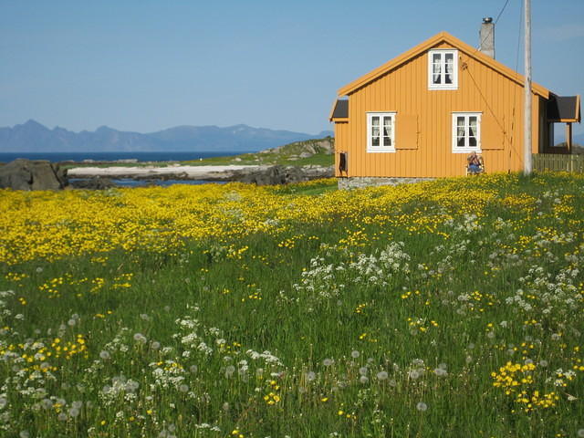 2011 Noorwegen 2 238