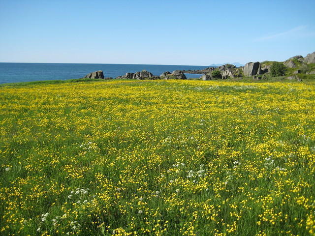 2011 Noorwegen 2 239
