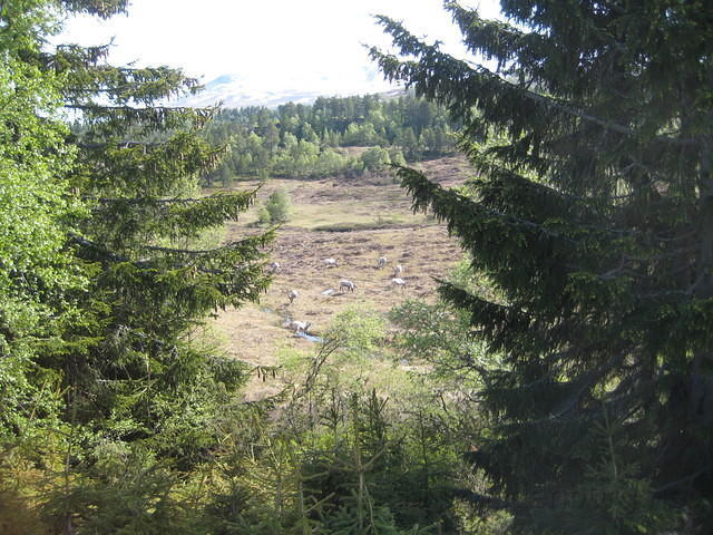2011-Noorwegen 149
