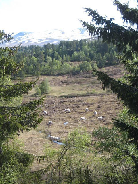 2011-Noorwegen 150