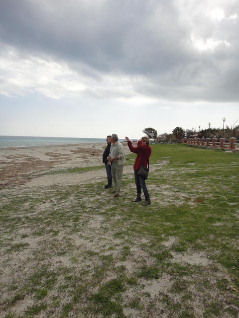 DSC03109