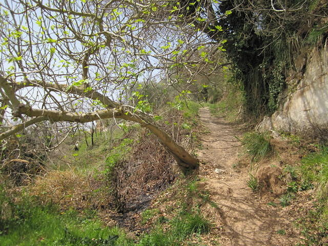 IMG 1947
