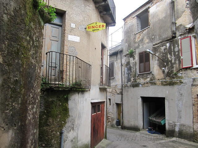 IMG 1960