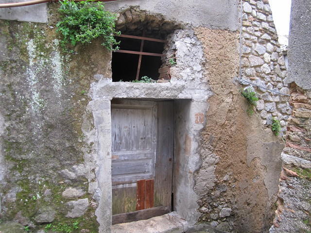 IMG 1980