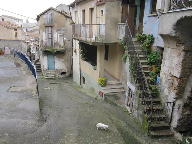 IMG 1993