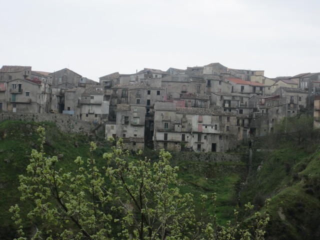 IMG 1996