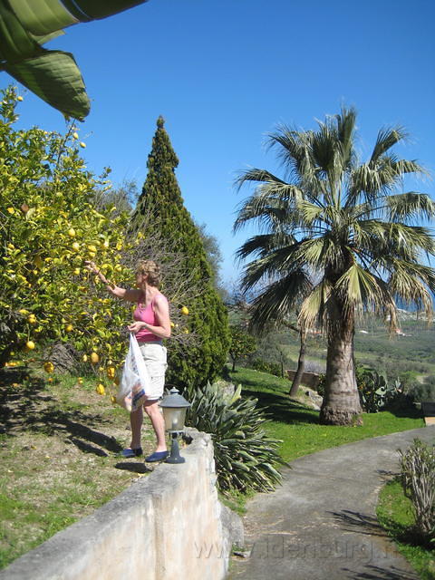IMG 2784