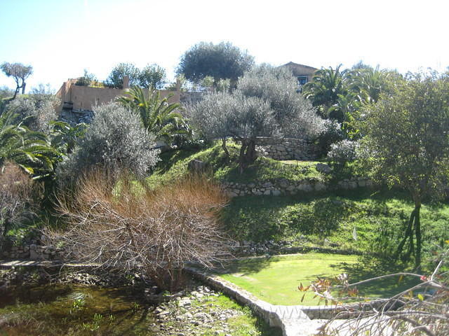 IMG 2785