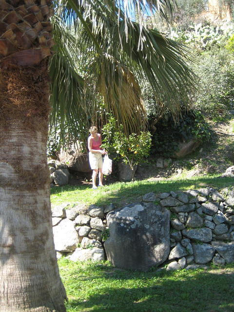 IMG 2786