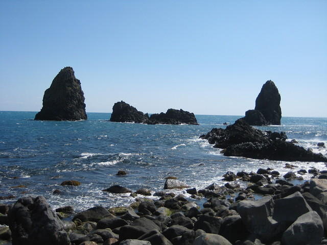 IMG 2877