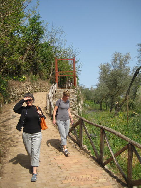 IMG 3000