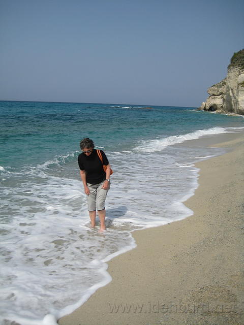 IMG 3037