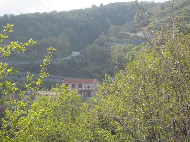 IMG 3139