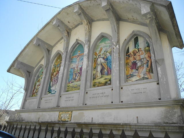 DSCN1050