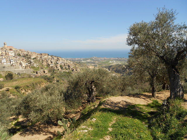 DSCN1060