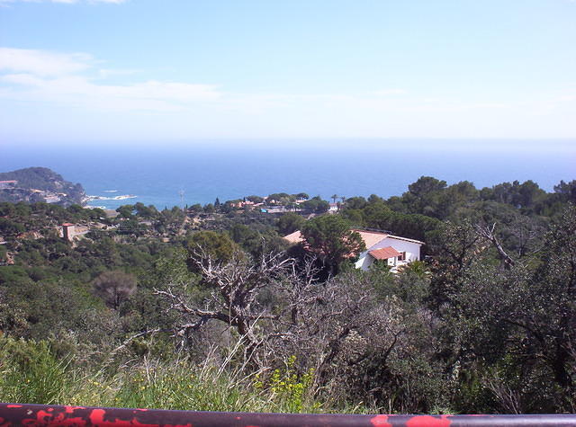 Afbeelding 024.jpg
