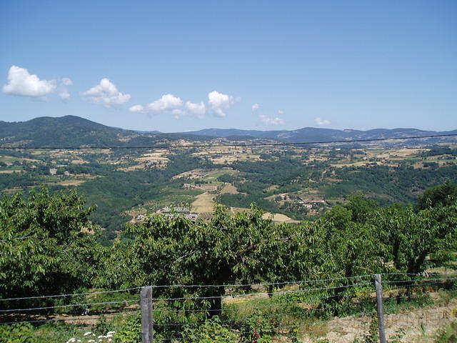 Frankrijk_2006 079.JPG