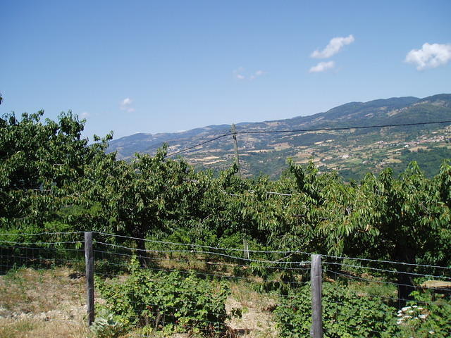 Frankrijk_2006 081.JPG