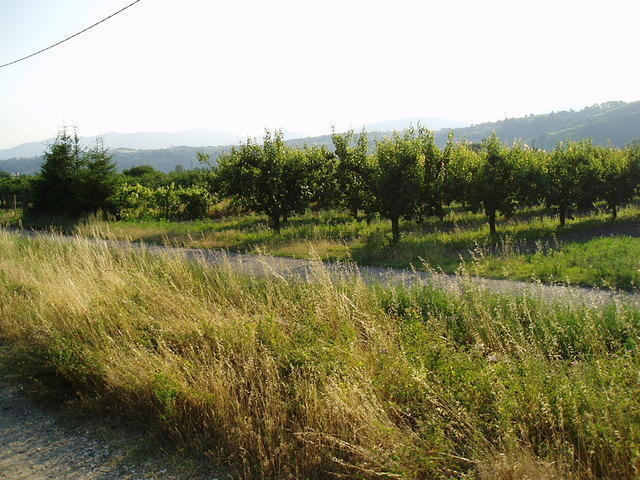 Frankrijk_2006 088.JPG