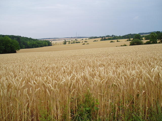 Frankrijk_2006 112.JPG