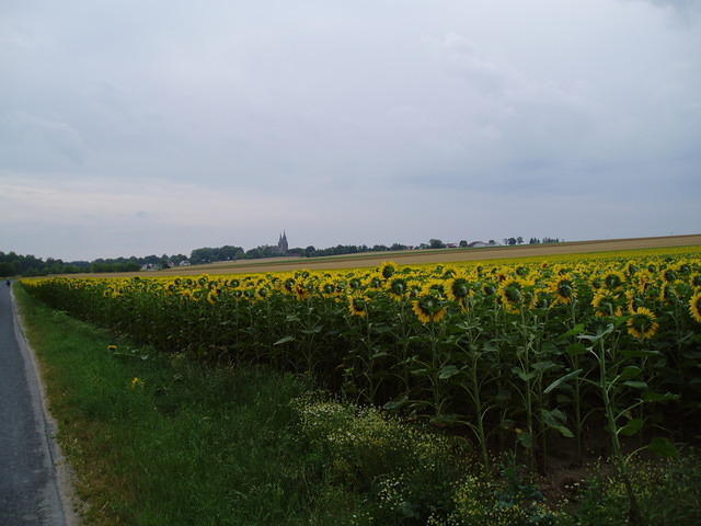 Frankrijk_2006 117.JPG