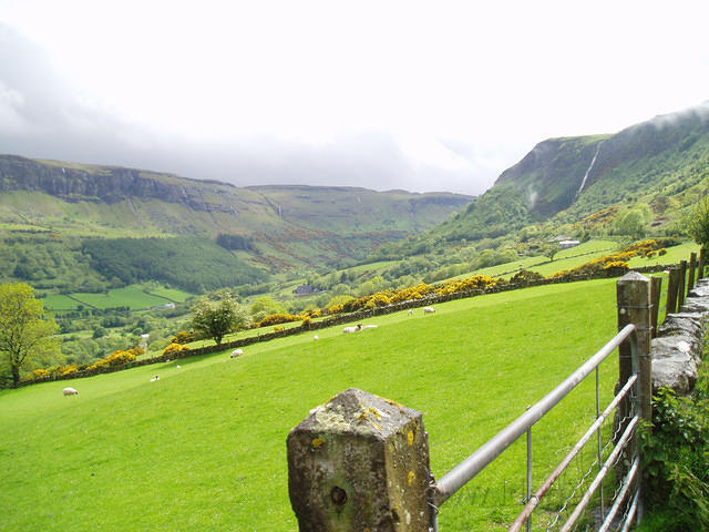 Ierland2005 005 - Glengariff Glen landinwaarts