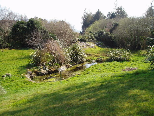 Tigeen - De Vijver