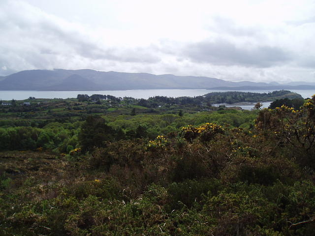 Crasnacree Walk 1