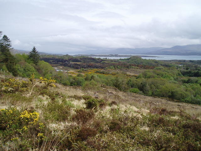 Crasnacree Walk 5