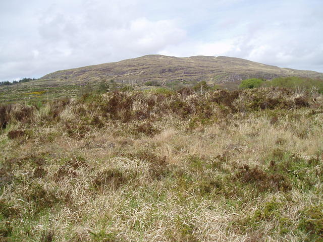 Crasnacree Walk 6