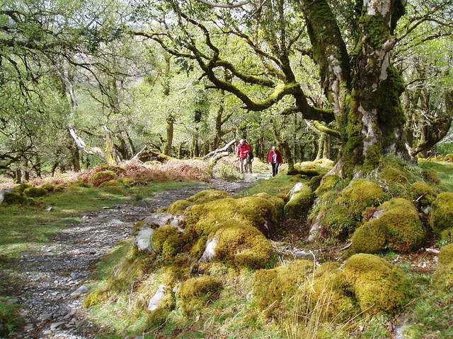 Galways Bridge-Torq Waterfall 2