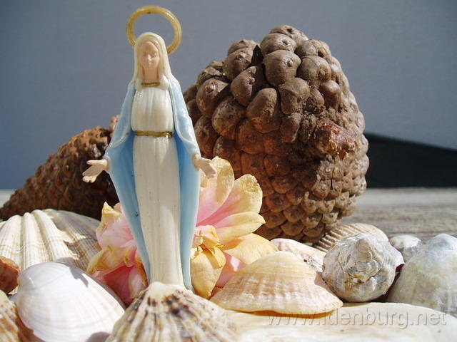 Tigeen - De Madonna van Manonna
