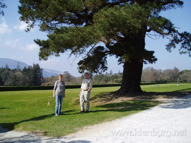 Muckross 4
