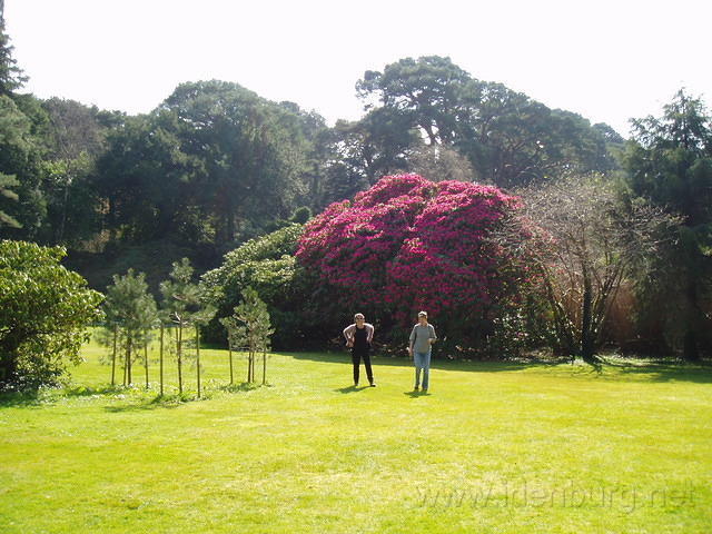 Muckross 5
