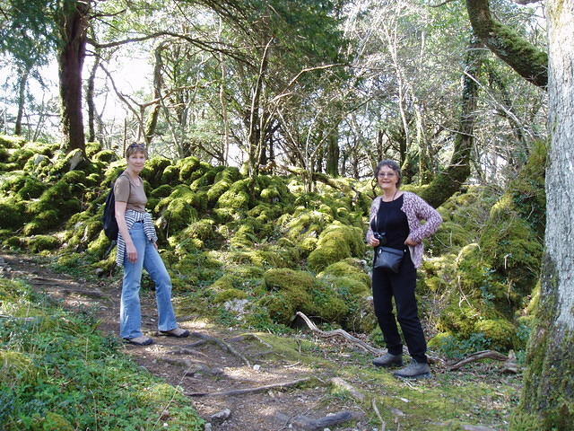 Muckross 9