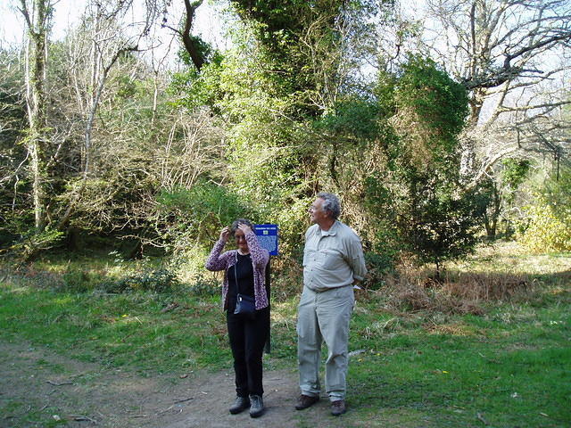 Muckross 10