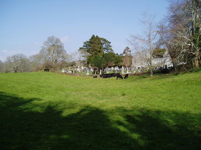 Muckross 12
